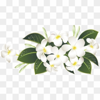 Elegant White Bouquet Transparent About Green Leaves, - Flores Blancas Png, Png Download