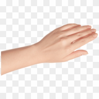 Left Hand - Opened - Woman Left Hand Png, Transparent Png