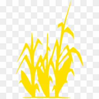 Grain Field Corn Gold Silhouette Summer Autumn - Graphic Of Corn Field, HD Png Download