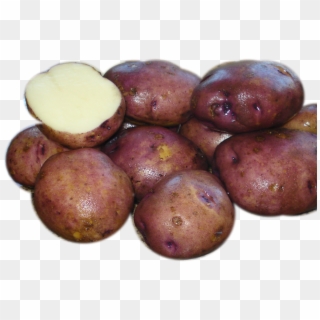 Caribe Potato, HD Png Download