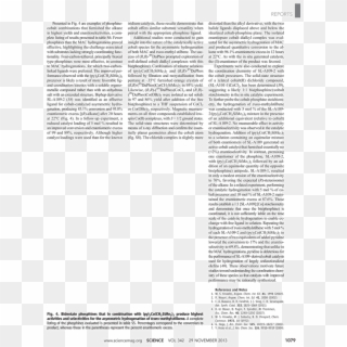 Borealis - Partitur - J. Beuys. Gallery Jan Wagner,, HD Png Download