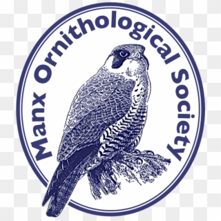 Manx Ornithological Society - Parrot, HD Png Download
