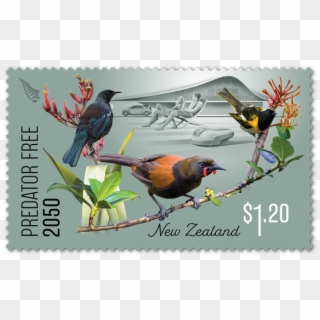 Single Stamps - Predator Free Stamps Nz, HD Png Download