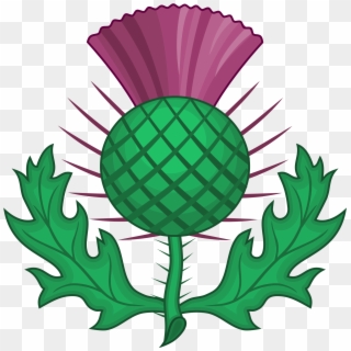 Scottish Silhouette At Getdrawings Com Free For - Scotland Thistle Symbol, HD Png Download