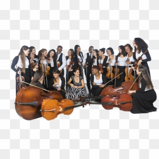 Dsc1225 - Orchestra, HD Png Download