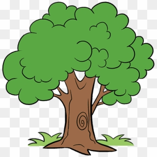 Cartoon Trees With Transparent Background - Tree Cartoon, HD Png Download