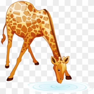 Giraffe Cartoon Animal Images - Cartoon Giraffe Bending Neck, HD Png Download