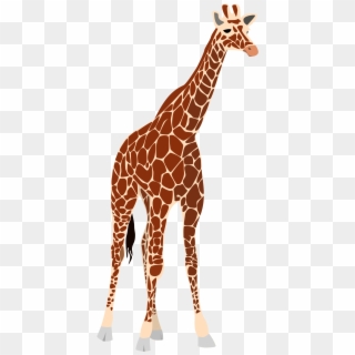 19 Giraffe Png Freeuse Stock Huge Freebie Download - Realistic Giraffe Clipart, Transparent Png
