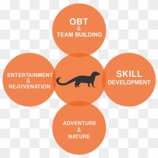 An Integrated Management , Adventure (activities), - Cat, HD Png Download