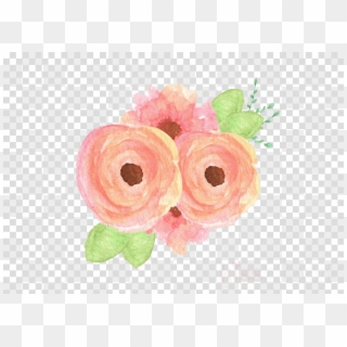 Peach Flowers Illustrations Png Clipart Garden Roses - Clip Art, Transparent Png