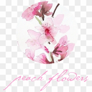 Peach Flowers - Leadership, HD Png Download