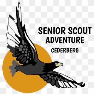 Cederberg Senior Scout Adventure, HD Png Download