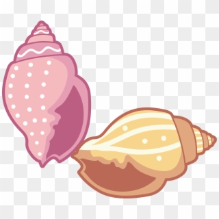 Conch Clip Art - Conch Clipart, HD Png Download