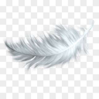 Nature - Feathers - Bird Feather Png White, Transparent Png