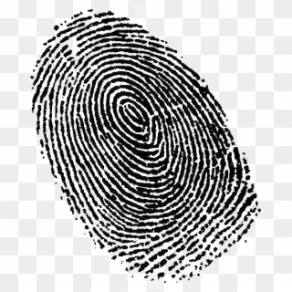 Share This Article - Fingerprint Clipart, HD Png Download