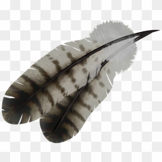 Feather Png, Transparent Png