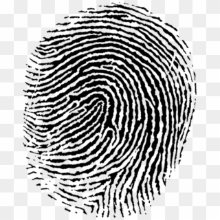 Fingerprint Transparent Png, Png Download