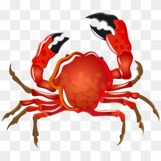 Crab Transparent Png Image, Png Download