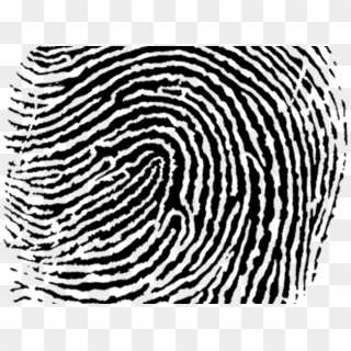 Fingerprint Png Transparent Images, Png Download