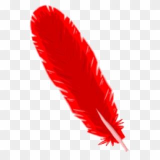 Free Png Download Feather Png Images Background Png - Transparent Red Feather Png, Png Download