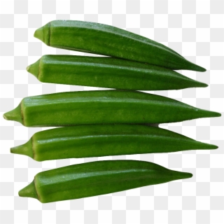 Lady Finger Png Images - Ladies Finger Vegetable Png, Transparent Png