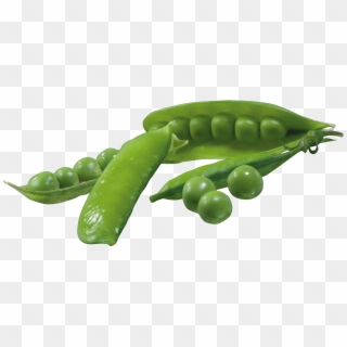 Pea Pods Png Picture - Green Peas Vegetables Png, Transparent Png