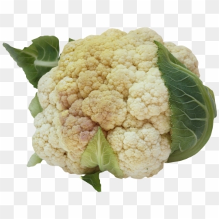 Cauliflower - Cauliflower Vector Png, Transparent Png