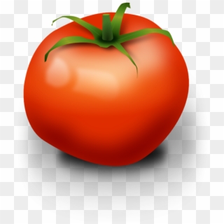 Vector Free Stock Vegetable Tomato - Tomato Clip Art, HD Png Download