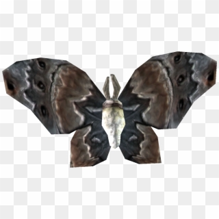 Skyrim Ancestor Moth , Png Download, Transparent Png