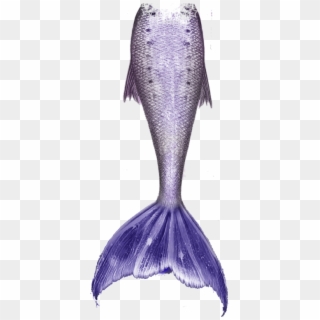 Mermaid Tail Png - Mermaid Tail Png Blue, Transparent Png