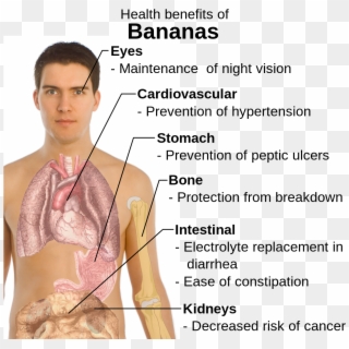 Health Benefits Of Bananas - Benefits Of Eating Bananas, HD Png Download