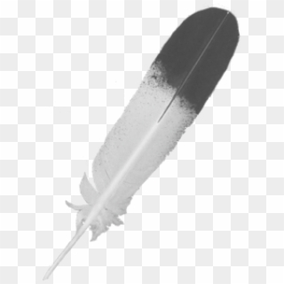 Feather Icon Png Image - Skateboard, Transparent Png