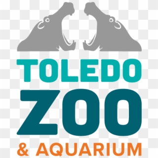 Media Toledo Zoo & Aquarium - Graphic Design, HD Png Download