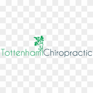 Tottenham Chiropractic - Alouette, HD Png Download