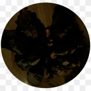 After The Opening Credits American Horror Story - Circle, HD Png Download