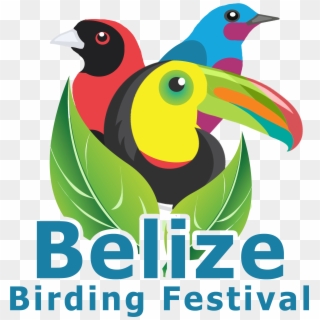 Belize Bird Festival Logo - Piciformes, HD Png Download