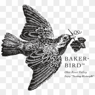 Baker Bird Logo - Baker Bird Winery Logo, HD Png Download