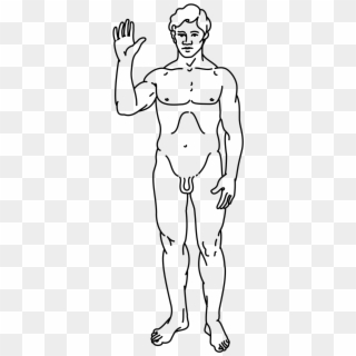 Pioneer Plaque Line-drawing Of A Human Male - Drawing For Neuro Exam, HD Png Download