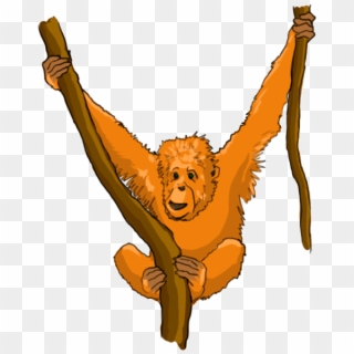 Orangutan - Orangutan Kids Drawing, HD Png Download