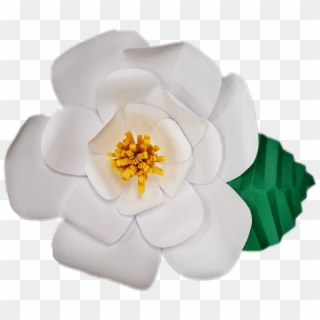#paper #flower #paperflower #blossom #magnolia #white - Artificial Flower, HD Png Download