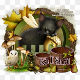 Door To Fantasy 1 - Kitten, HD Png Download
