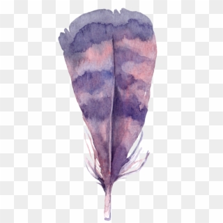 Feather - Lilac, HD Png Download
