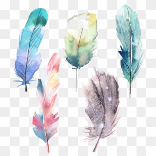 Watercolor Feathers Png, Transparent Png