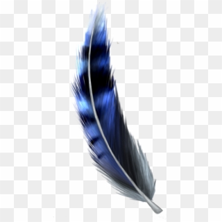 Jay Feather Png - Transparent Blue Jay Feather, Png Download