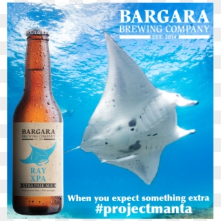 On The Great Barrier Reef, Bargara Brewing Company - Manta Ray, HD Png Download