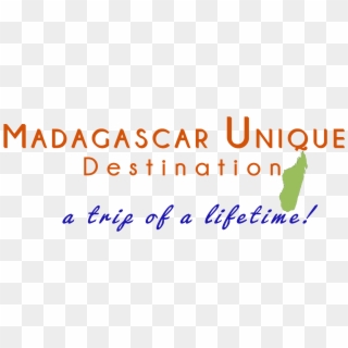 Madagascar Unique Destination - Calligraphy, HD Png Download