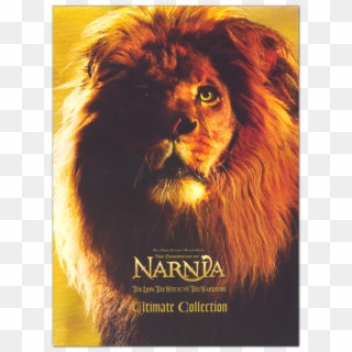 Ultimate Collection - Masai Lion, HD Png Download