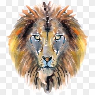 World Book Day - Masai Lion, HD Png Download