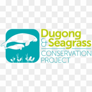 26142201273 171c5e1acd O - Dugong, HD Png Download