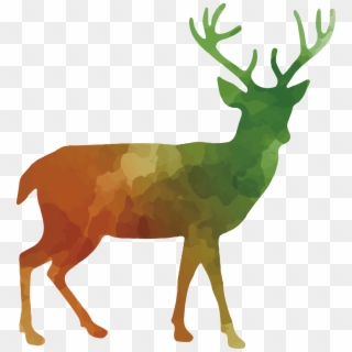 Image Transparent Download White Tailed Deer At Getdrawings - Black And White Deer Png, Png Download